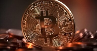 bitcoin, cryptocurrency, digital, money, electronic, coin, virtual, cash, payment, currency, global, cryptography, bitcoin, bitcoin, bitcoin, bitcoin, bitcoin, cryptocurrency, money, money