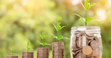 money, coin, investment