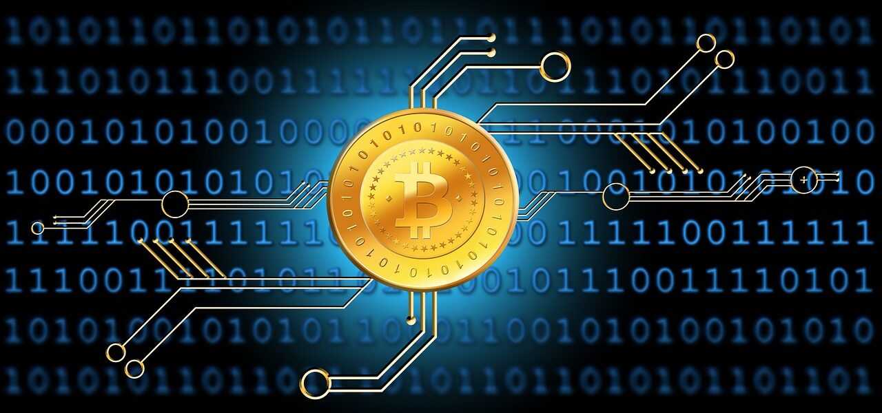 bitcoin, coin, money