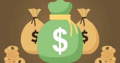 money bags, cash, money