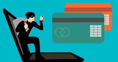 hack, fraud, card, code, computer, credit, crime, cyber, data, hacker, identity, information, internet, password, phishing, pile, privacy, protection, safety, secure, spy, steal, technology, thief, fraud, fraud, fraud, fraud, fraud, hacker, hacker, phishing, phishing, phishing, phishing, thief