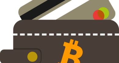 wallet, bitcoin, web wallet, online wallet, currency, vault, pay, wallet, wallet, wallet, wallet, wallet