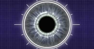 biometrics, eye, security, authentication, identification, iris, scanning, information, detection, biometrics, biometrics, biometrics, biometrics, biometrics, identification, scanning, scanning, detection, detection, detection