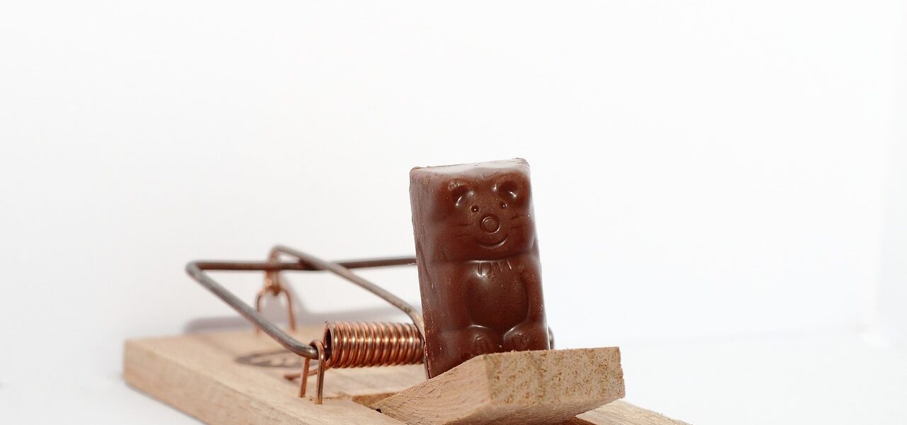 mouse, trap, mousetrap, bait, catch, human trap, chocolate, chocolate mouse, success, risk, fraud, deception, lies, career, woman, business, prey, preying, corporate, startup, scheme, pyramid scheme, company, fraudster, trick, mousetrap, fraud, fraud, fraud, deception, deception, deception, deception, deception, scheme, pyramid scheme, pyramid scheme, pyramid scheme, pyramid scheme, pyramid scheme