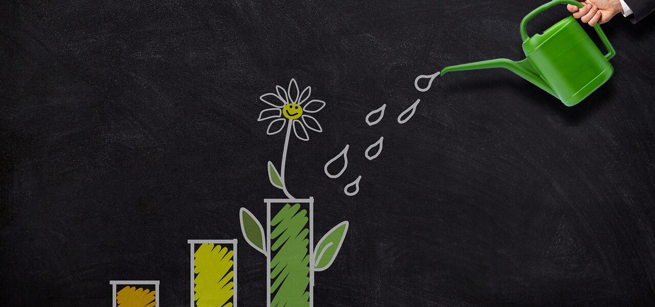 investment, growth, watering