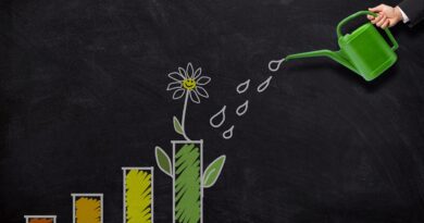 investment, growth, watering