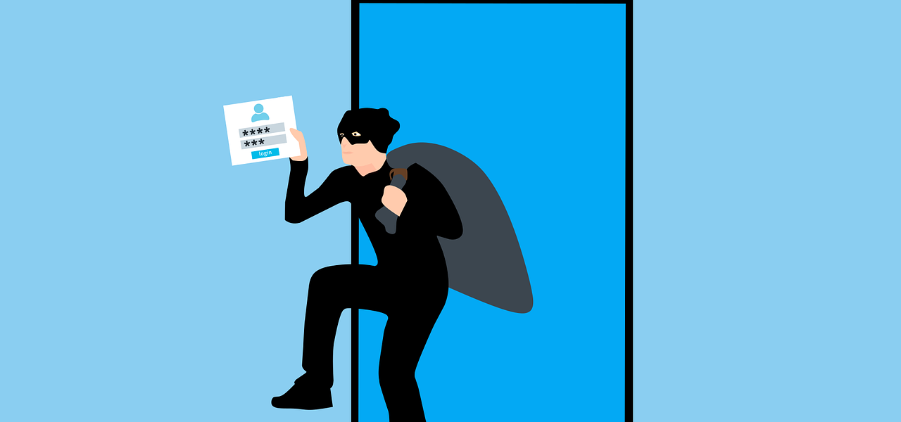 hacking, data theft, online fraud