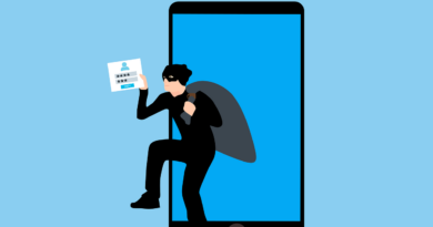 hacking, data theft, online fraud