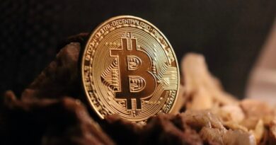 bitcoin, cryptocurrency, blockchain, btc, money, crypto, bitcoin, bitcoin, bitcoin, bitcoin, bitcoin, btc, btc