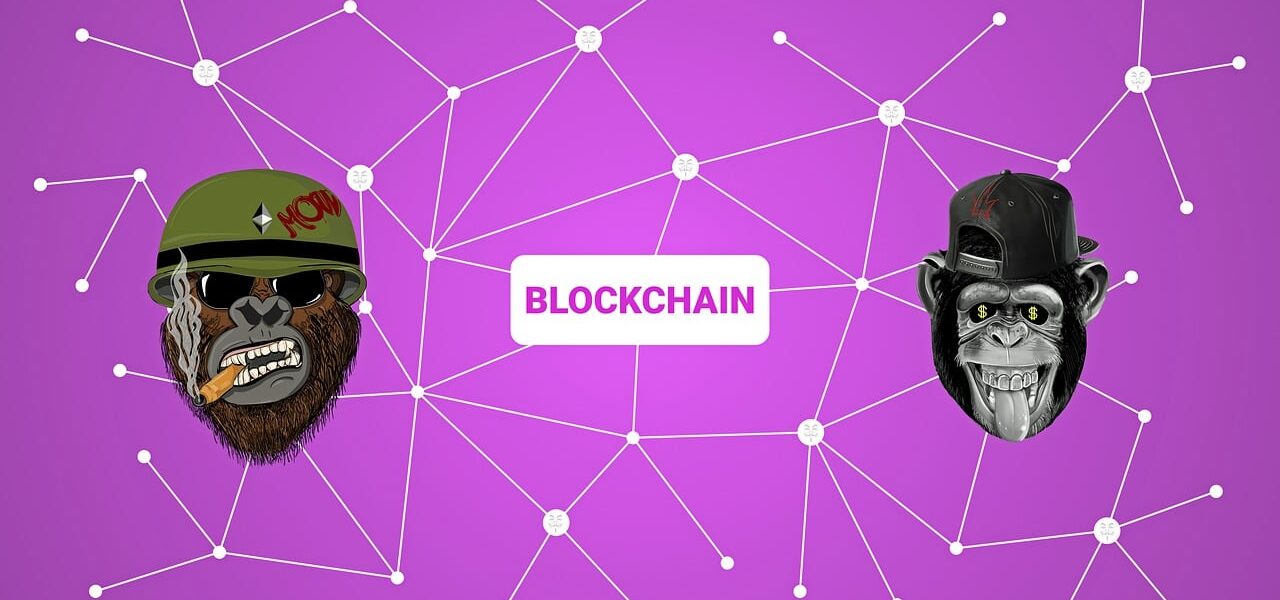 blockchain, crypto, ape, nft, non fungible token, non-fungible token, cryptocurrency, virtual, network, digital, concept