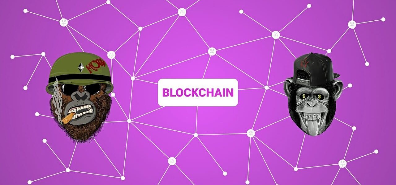 blockchain, crypto, ape, nft, non fungible token, non-fungible token, cryptocurrency, virtual, network, digital, concept