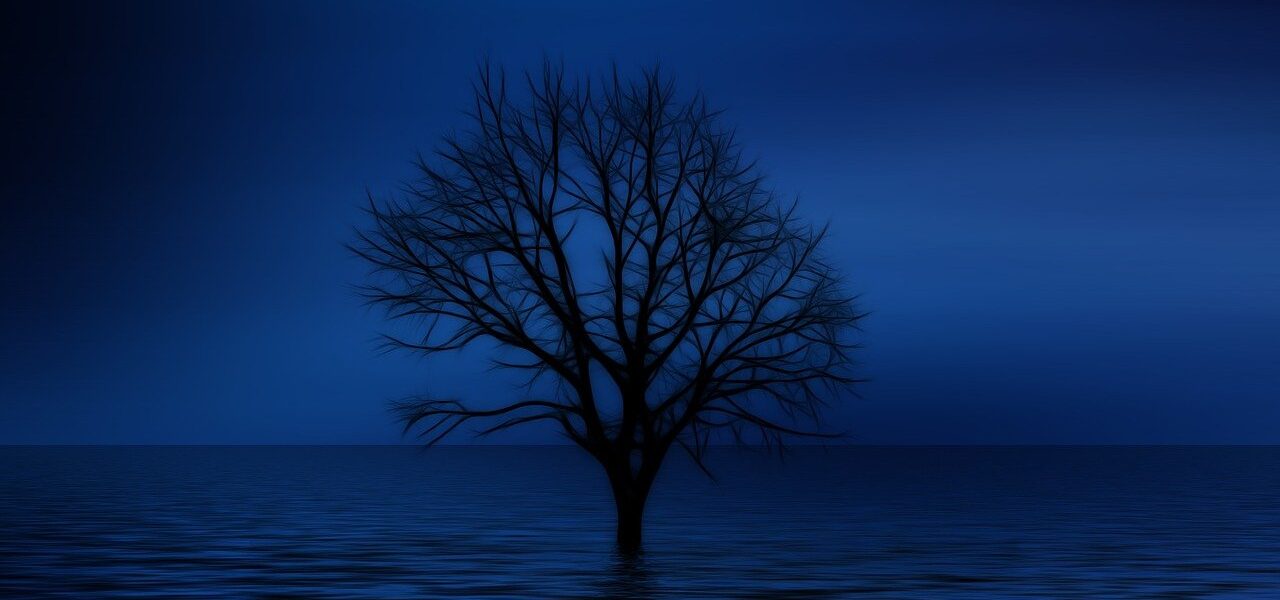 tree, bald, psychology, lonliness, isolation, sadness, dream, imagination, sad, lake, sea, waves, seem, light, reflection, tristess, ocean, the atmosphere, silence, psychology, psychology, psychology, sadness, sad, nature, sad, sad, sad, sad