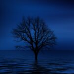 tree, bald, psychology, lonliness, isolation, sadness, dream, imagination, sad, lake, sea, waves, seem, light, reflection, tristess, ocean, the atmosphere, silence, psychology, psychology, psychology, sadness, sad, nature, sad, sad, sad, sad