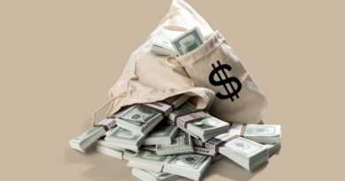 moneybag, money, dollars