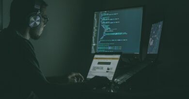 person using laptop computers