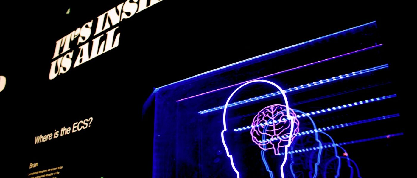 a neon display of a man's head and brain