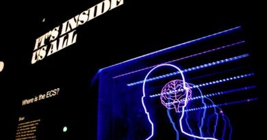 a neon display of a man's head and brain