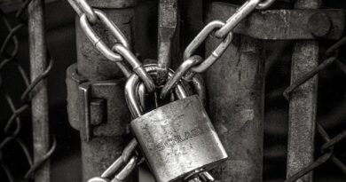 gray steel chain locked on gate